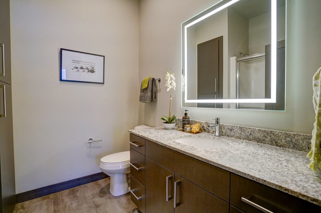 a bathroom with a sink and a toilet and a mirror
