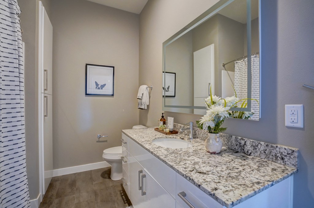 a bathroom with a sink and a toilet