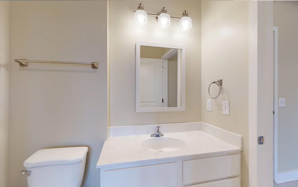 a bathroom with a sink and a mirror and a toilet