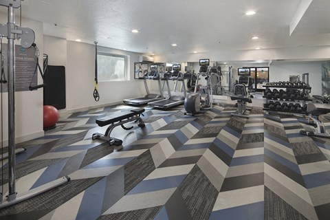 a gym with cardio machines and weights on the floor