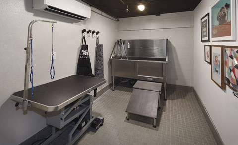 a medical room with a hospital bed and a sink