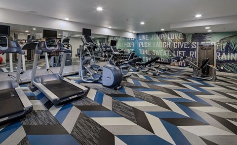 a gym with weights and cardio machines and a wall mural