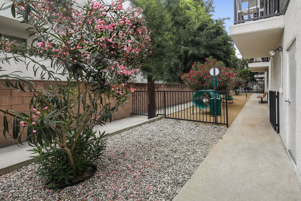 a yard with a fence and plants and a sidewalk