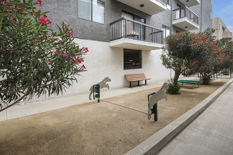 a bench in front of a building with statues of dogs
