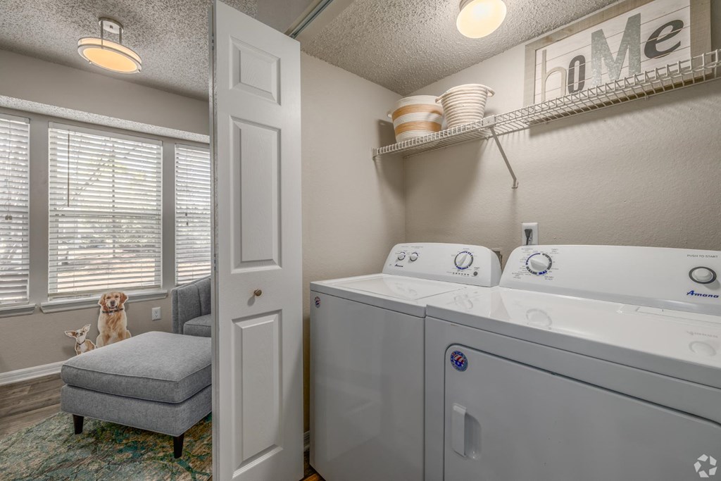 A dog is sitting on a chair in front of a window in a laundry room.