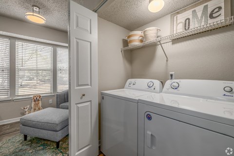 A dog is sitting on a chair in front of a window in a laundry room.