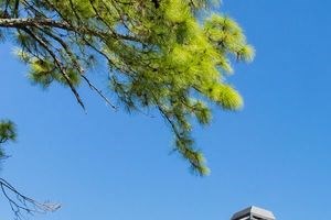 Exterior - Photo Gallery 2