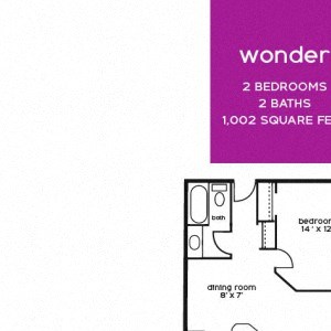 Wonder