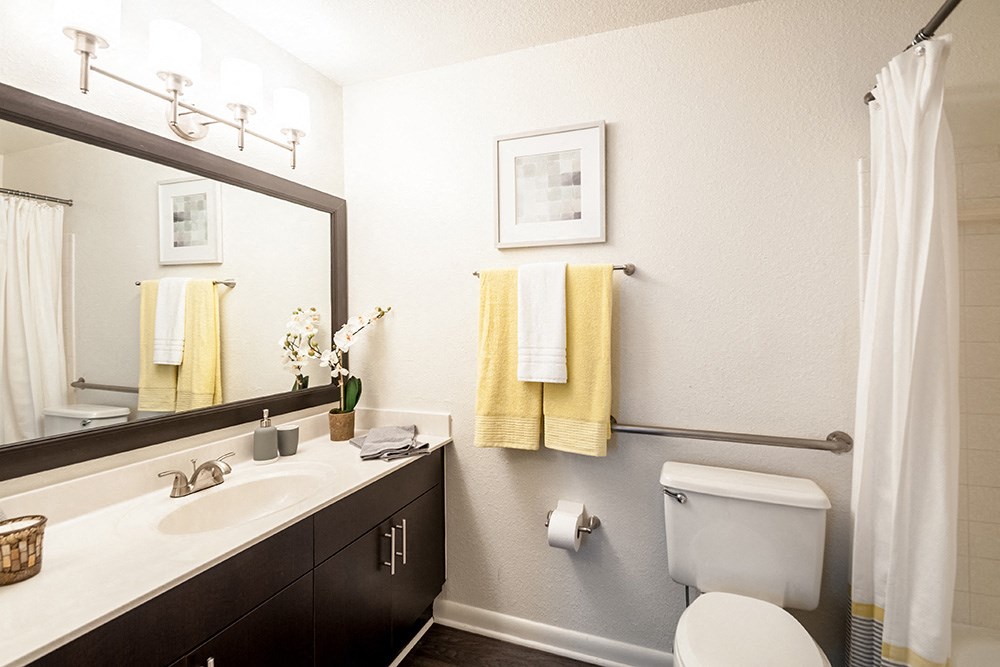 a bathroom with a toilet and a sink and a mirror