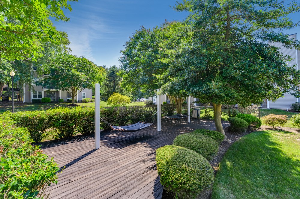 a garden with trees and a wooden deck
