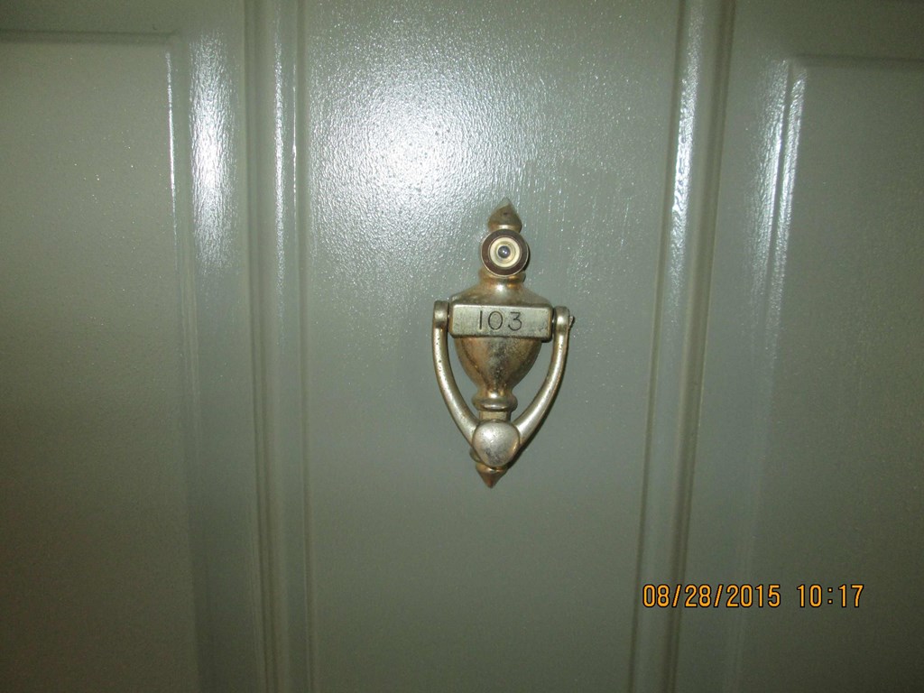 a door with a brass door knob on it