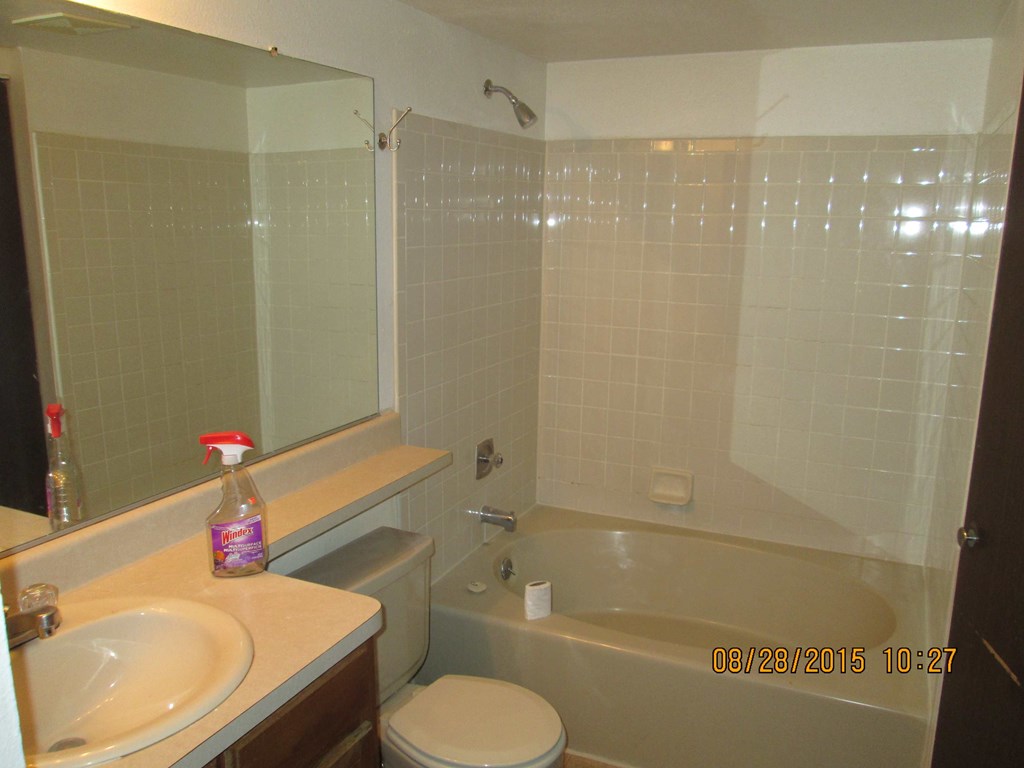 a bathroom with a tub and a sink and a toilet