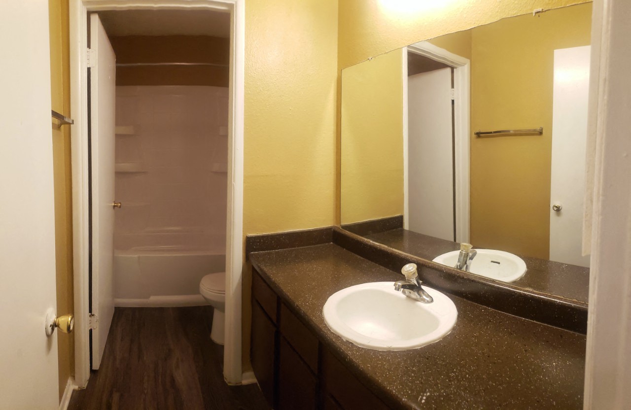 a bathroom with a sink and a shower and a mirror