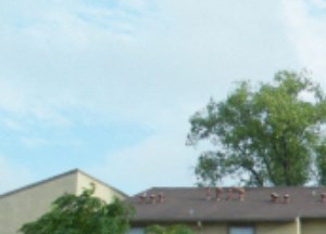 an old building with a garden in front of it