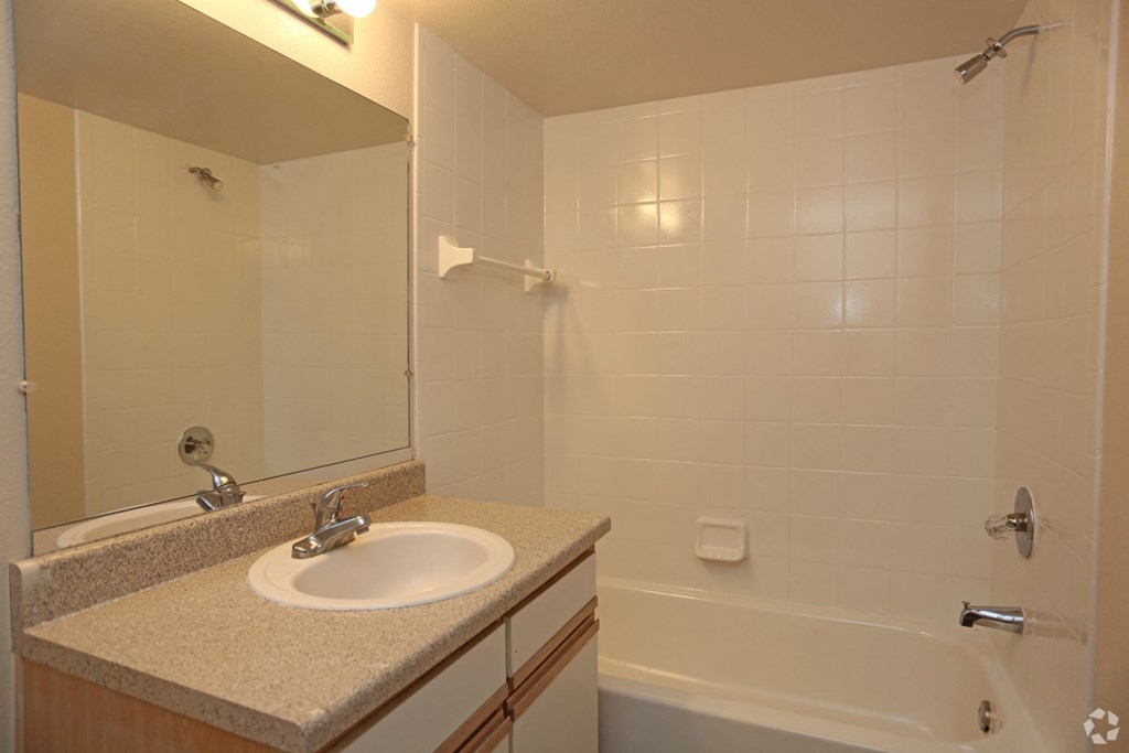 a bathroom with a sink and a tub and a mirror