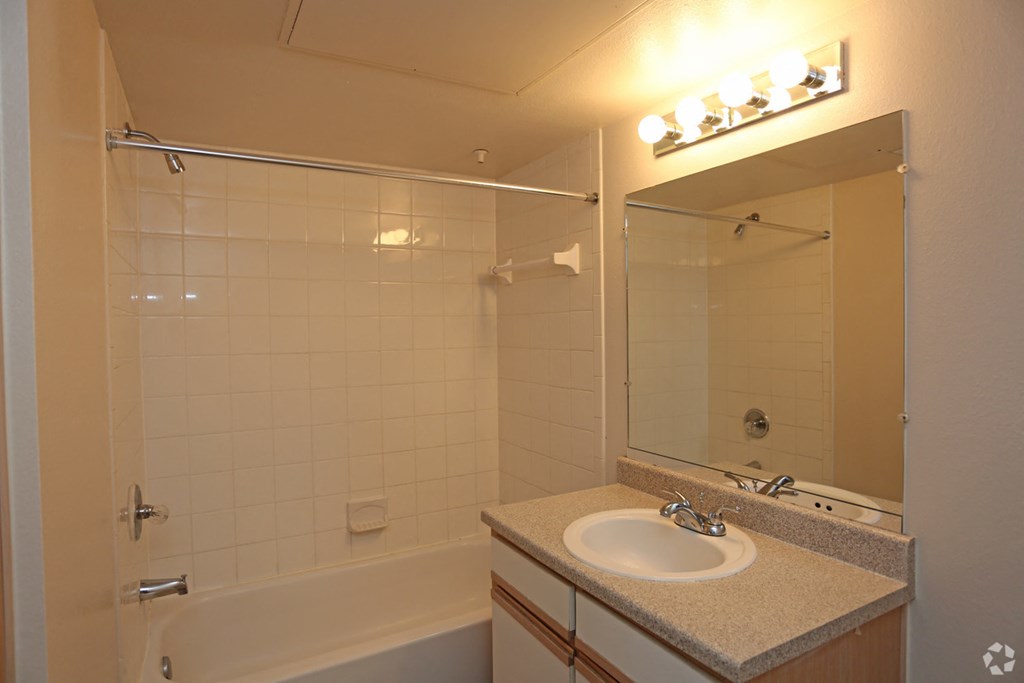 a bathroom with a sink and a shower and a mirror