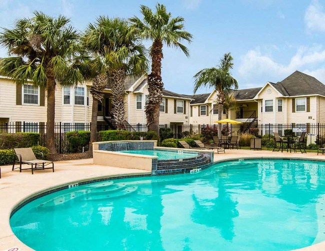 a large swimming pool with palm trees in front of houses
