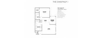 Chestnuti FloorPlan at Rosemont Vinings Ridge, Georgia