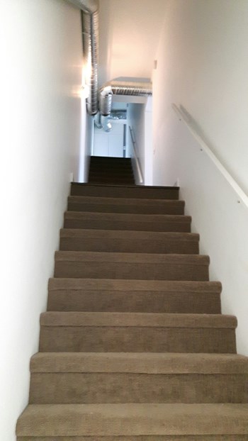 #2 - 1530 Grant Avenue 1 Bed Apartment for Rent - Photo Gallery 4
