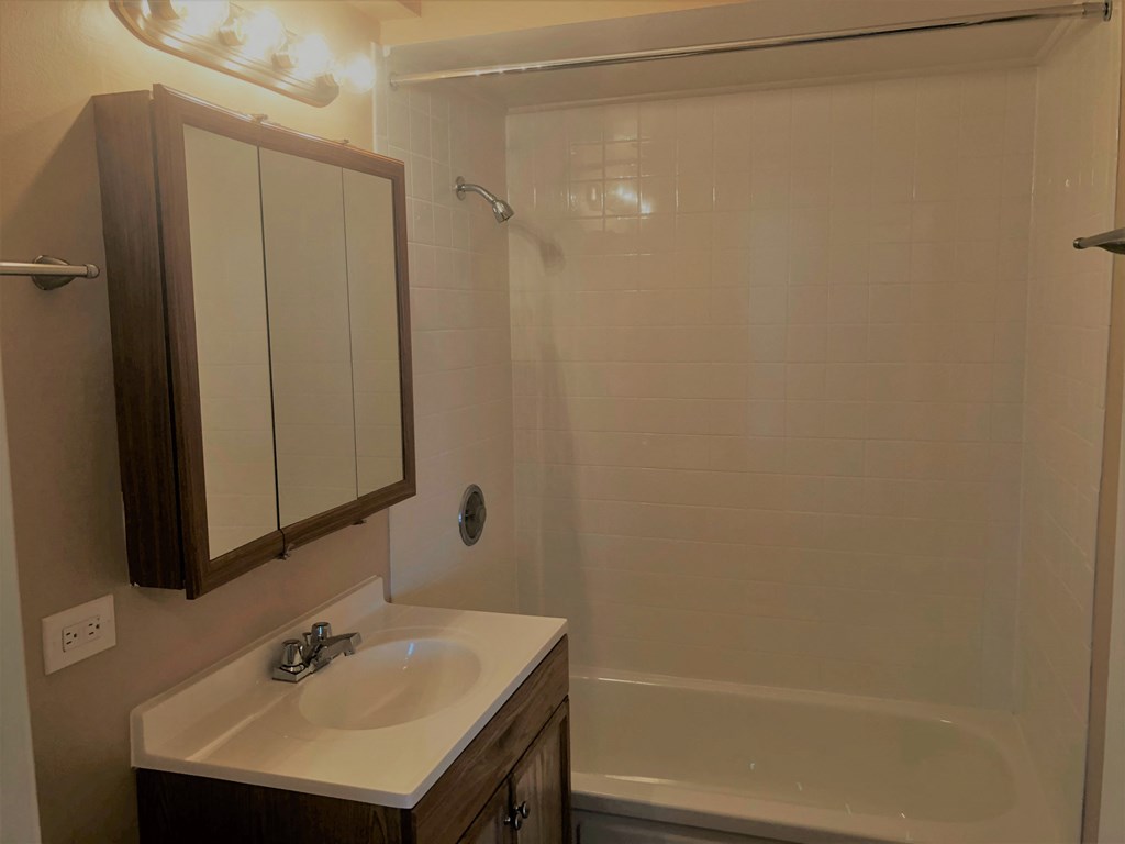 a bathroom with a sink and a shower and a mirror