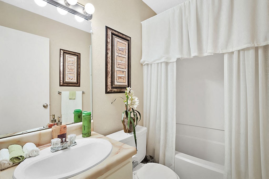 a bathroom with a sink and a toilet and a shower