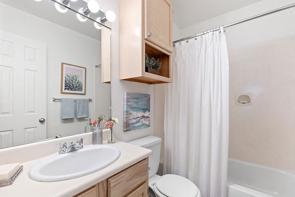 a bathroom with a sink and a toilet and a shower