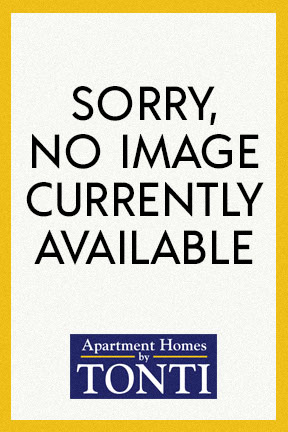 no image available