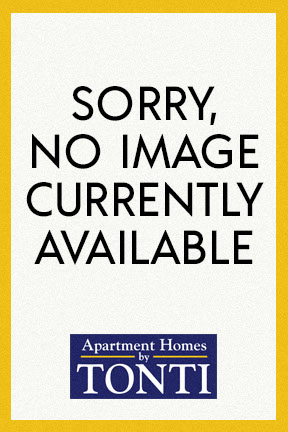 no image available