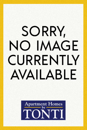 No Image Available
