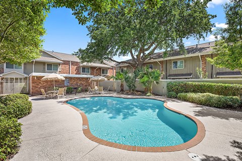 A swimming pool surrounded by a concrete patio and residential houses.