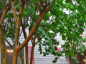 4537 Mill Stream Dr 1-3 Beds Apartment for Rent - Photo Gallery