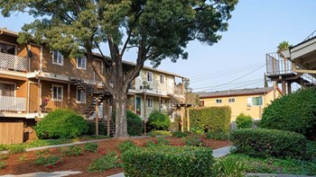 Landscape grounds near buildings