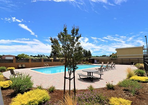 Pool with lounge chairs  l Brairwood Apartments in Livermore, CA 