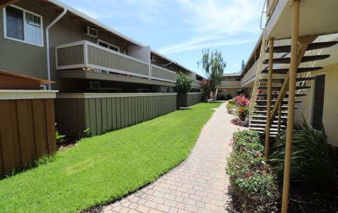 Landscape grass by buildings  l Mountain View Apartments in Concord, CA