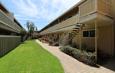Landscape grass by buildings  l Mountain View Apartments in Concord, CA
