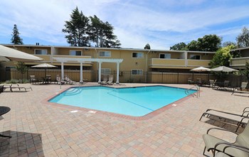 Pool with seating l Mountain View Apartments in Concord, CA
