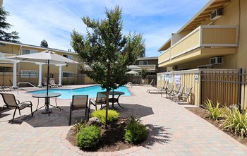 Pool with seating l Mountain View Apartments in Concord, CA