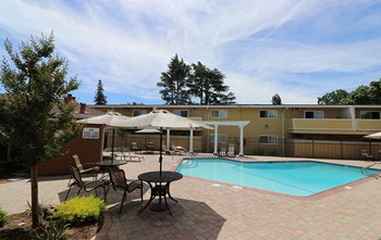 Pool with seating l Mountain View Apartments in Concord, CA