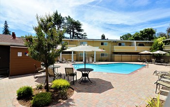 Pool with seating l Mountain View Apartments in Concord, CA