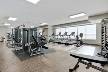 24-Hour Fitness Center With Free Weights at Arden of Oak Brook, Illinois 60181 - Photo Gallery 10