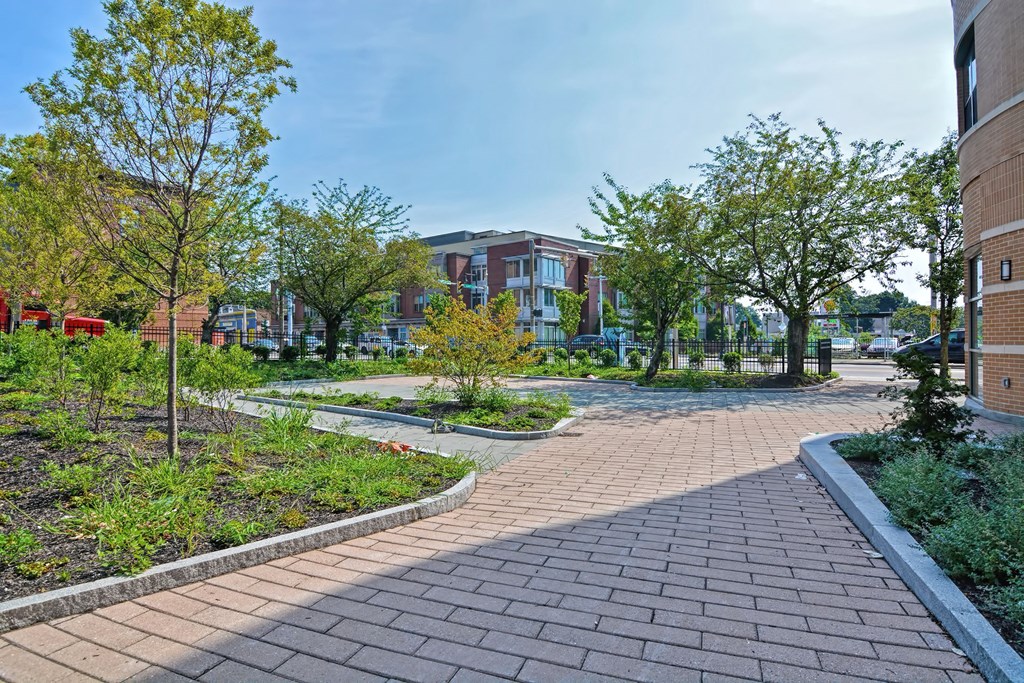 a pathway through a park with trees and buildings in the background