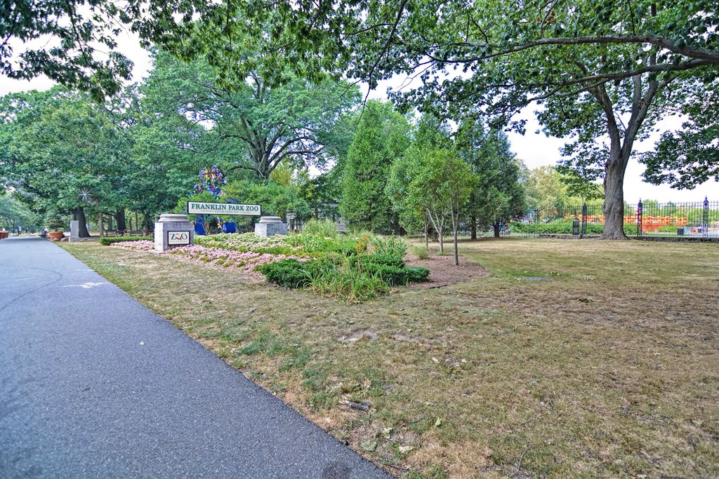 a park with trees and flowers on the side of a road