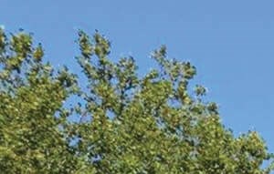 Arbor Pointe | Apartments in Fairfield, OH