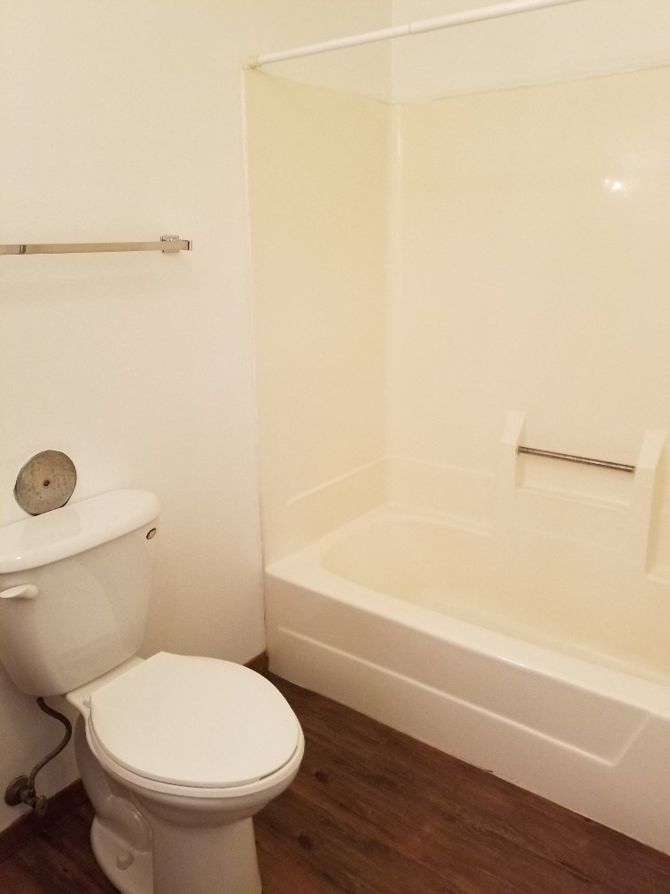 a bathroom with a toilet and a bath tub