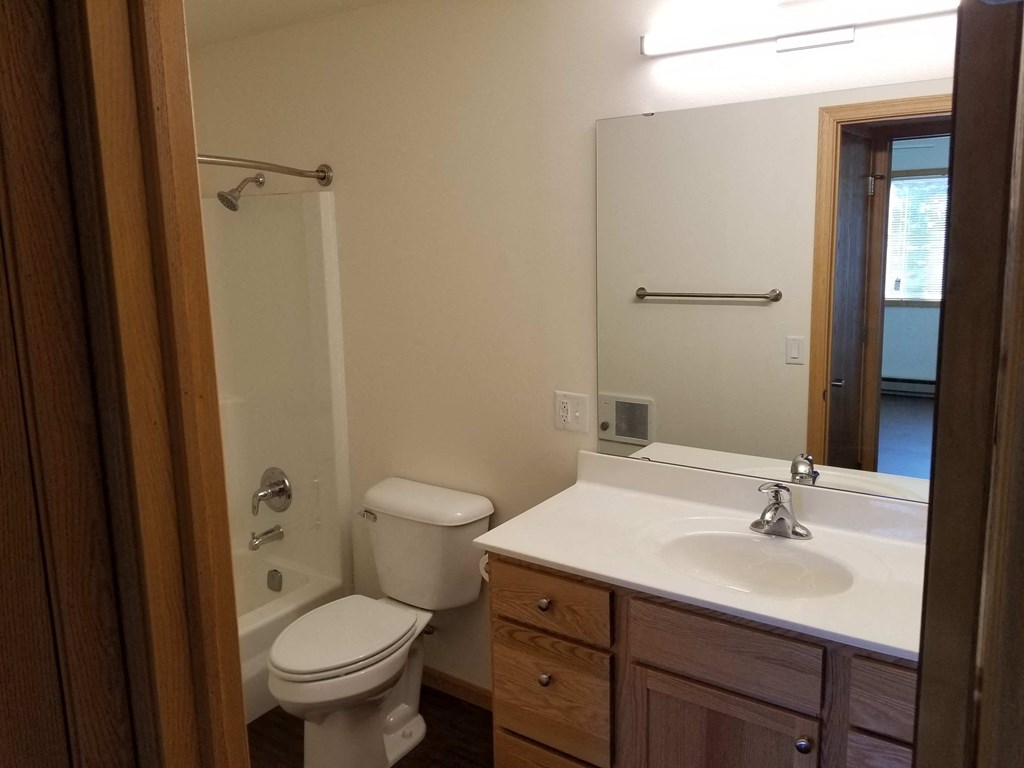 a bathroom with a sink toilet and a mirror