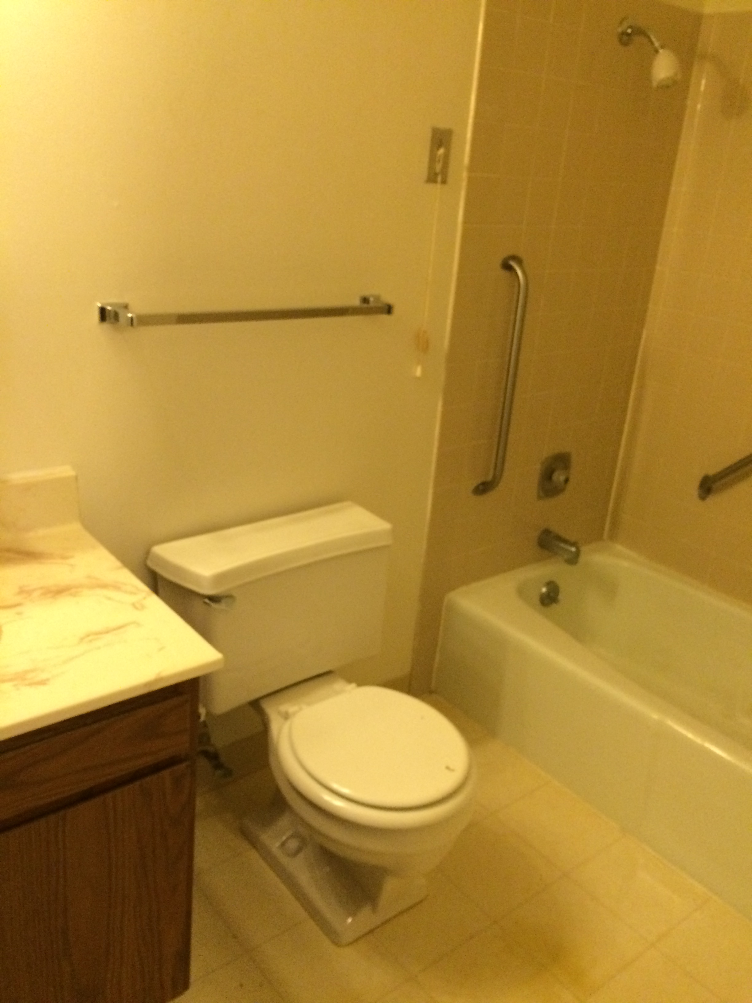 a bathroom with a toilet and a bath tub