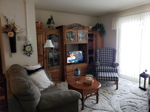 a living room with a couch and a tv in it