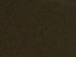 an empty room with a window and a carpet