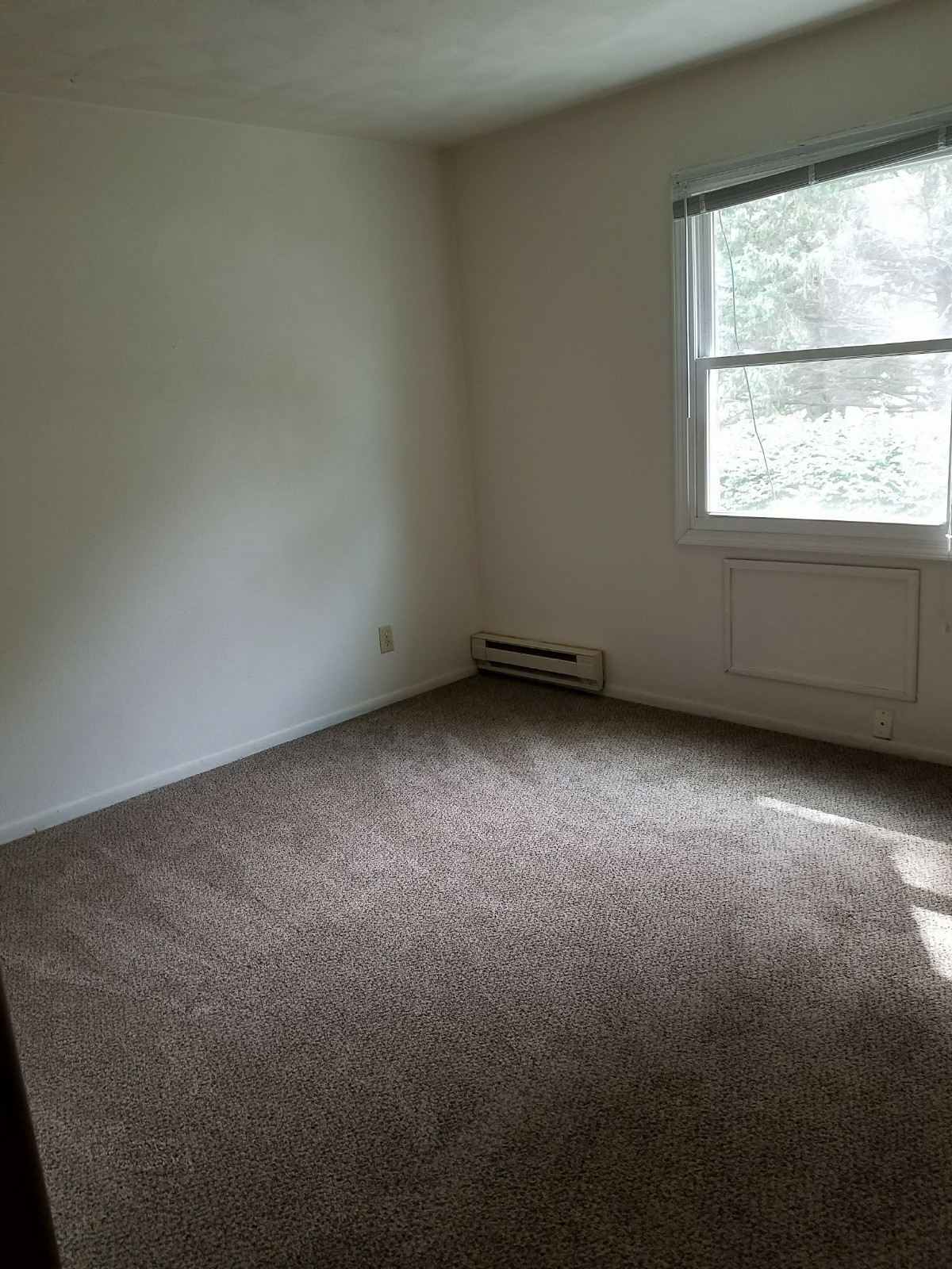 an empty room with a window and a carpeted floor