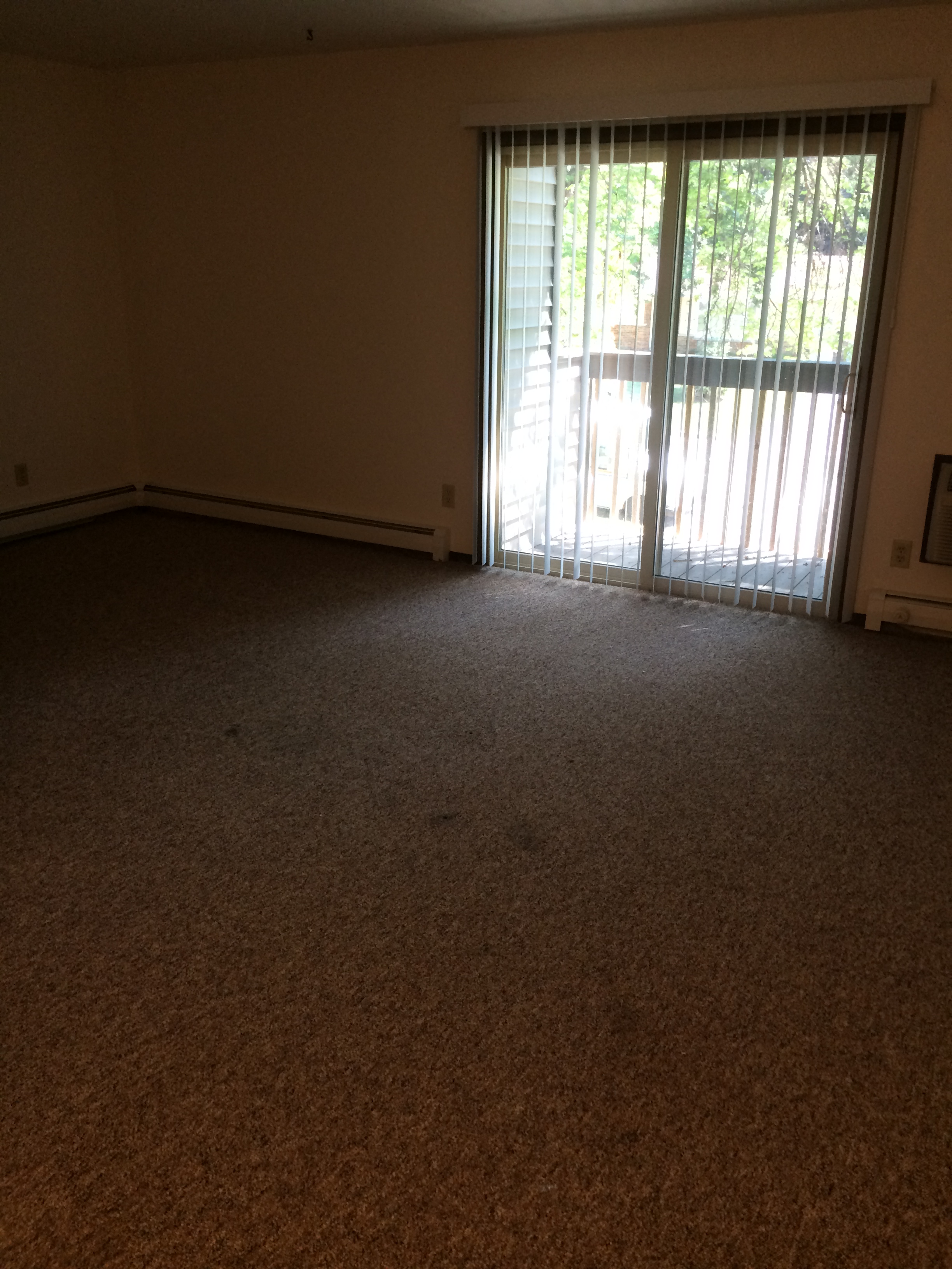 A room with a carpet floor and a sliding glass door.